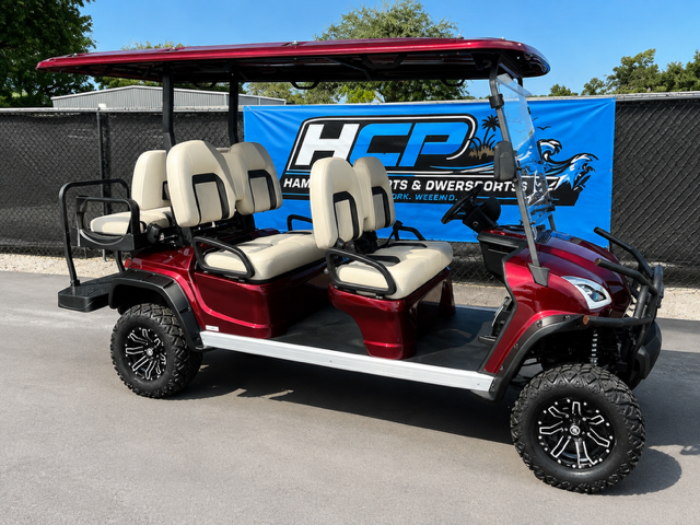 2021 STAR EV SIRIUS 6P